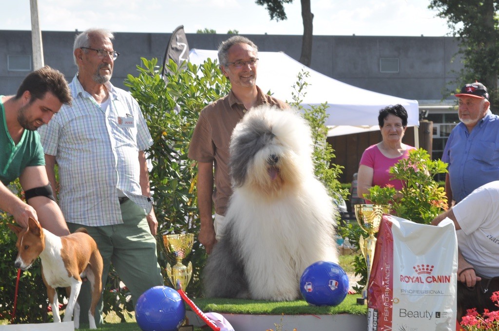 OF REALITY DREAM - 8 Juillet  : Lasco fait le BIS a Chateaubriant