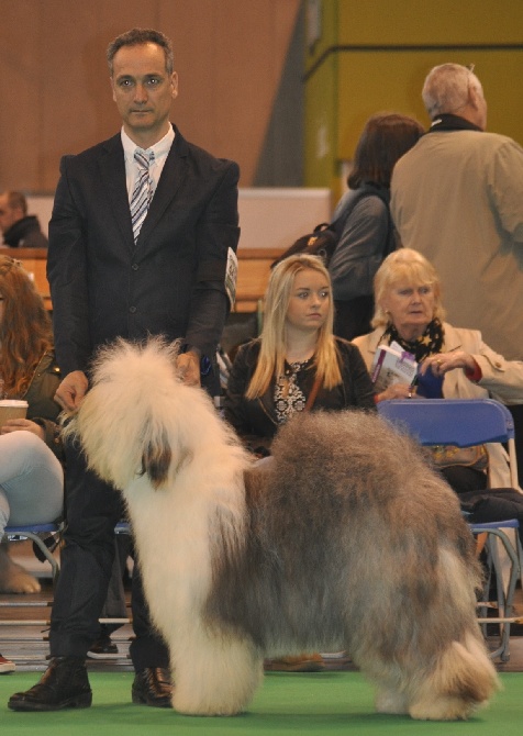 OF REALITY DREAM - CRUFTS 2014