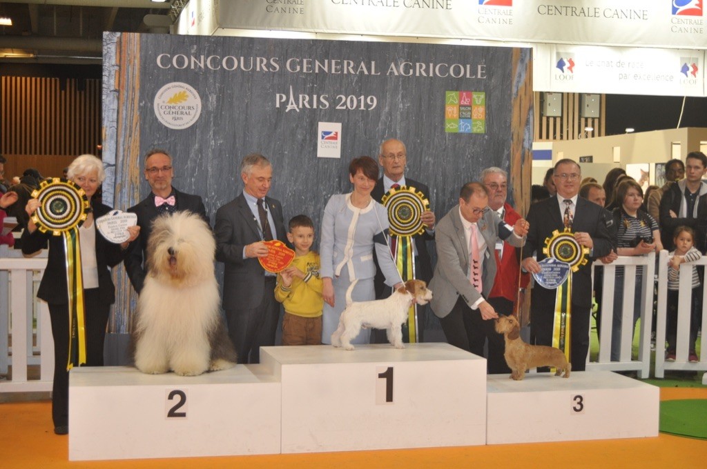 OF REALITY DREAM - Concours General Agricole 2019 : 