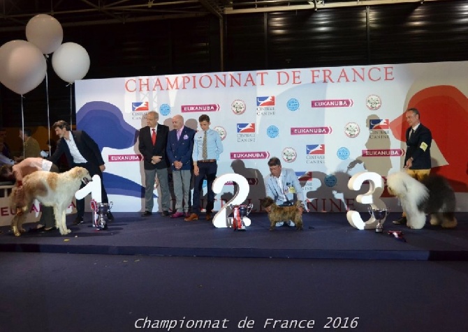 OF REALITY DREAM - 5 Juin : Championnat de France METZ