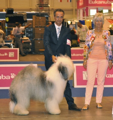 OF REALITY DREAM - 30/08/2013 EUROPEAN DOG SHOW : GENEVE